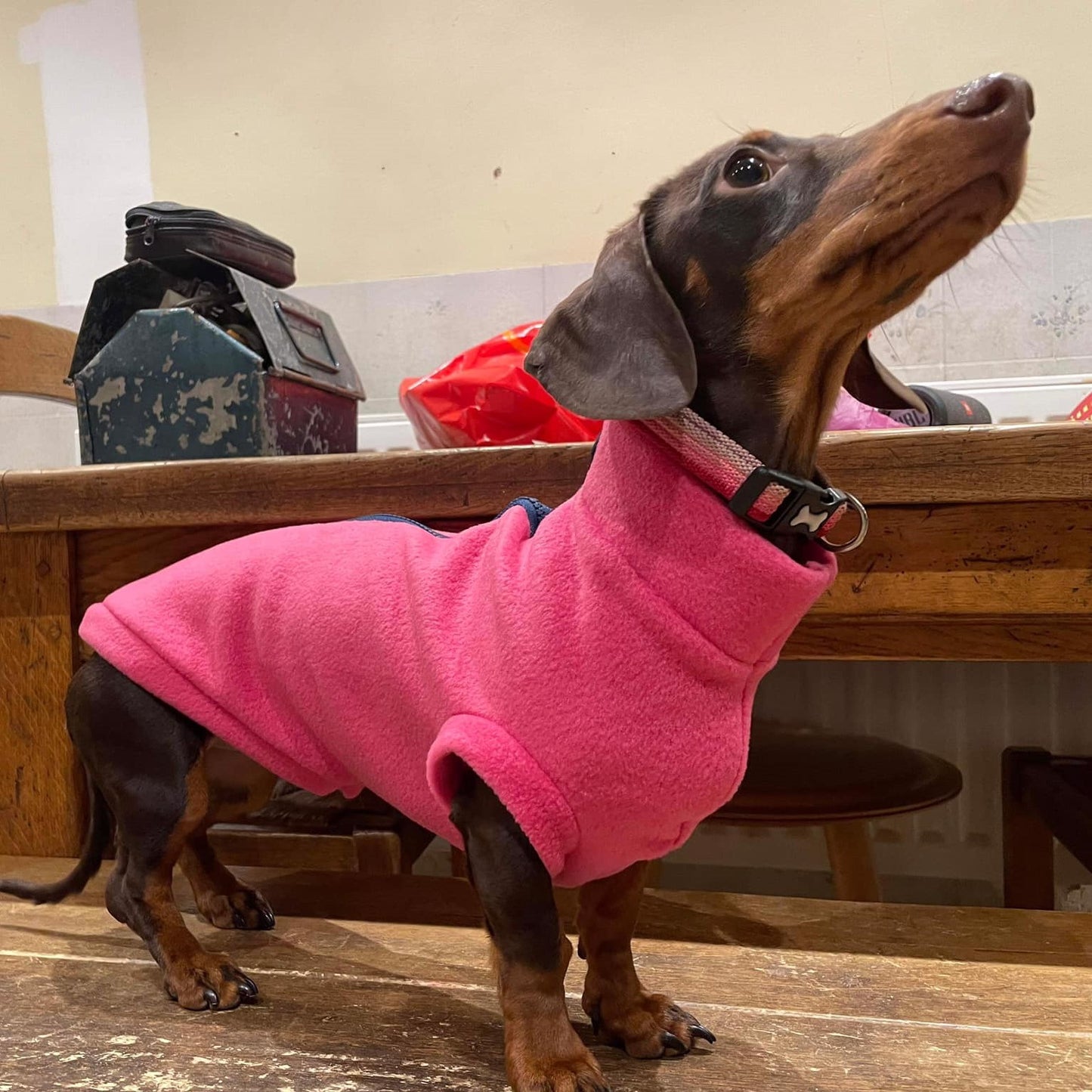 IVDD Zip-Up Dachshund Fleece Jumper