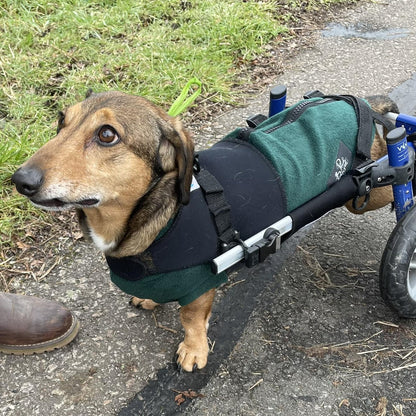 IVDD Zip-Up Dachshund Fleece Jumper