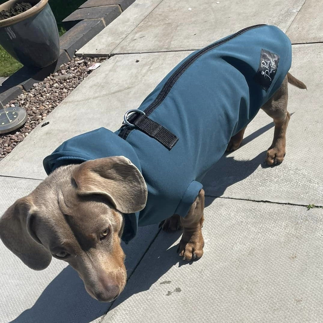 Spring/ Autumn Dachshund Rainjacket