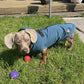 Spring/ Autumn Dachshund Rainjacket