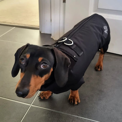 Spring/ Autumn Dachshund Rainjacket