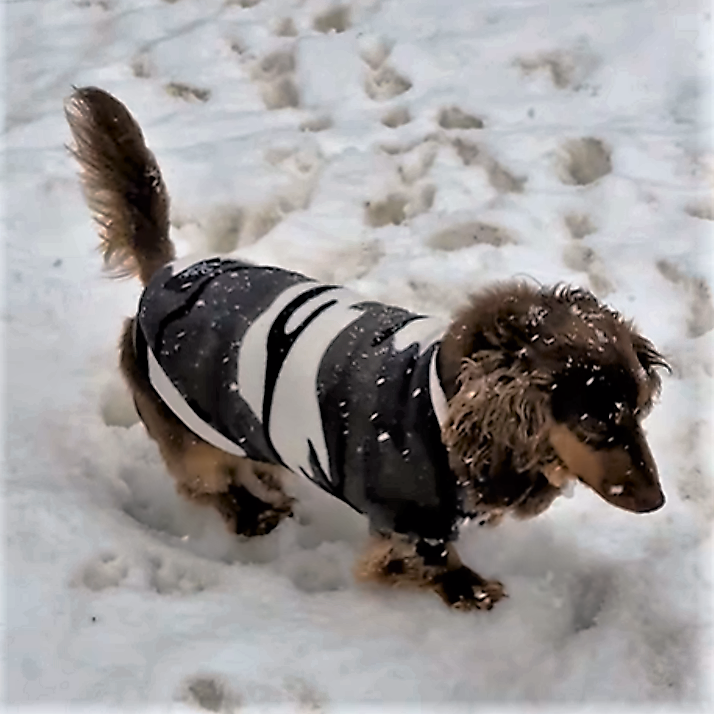 Camo Print Dachshund Fleece Jumper