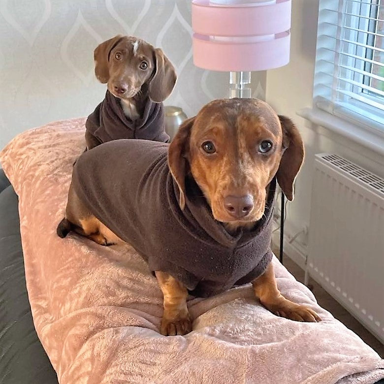 Dachshund Fleece Jumper