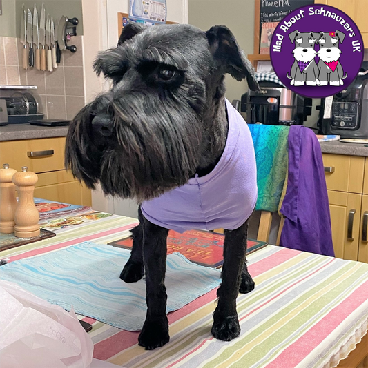 Mad About Schnauzers UK Fundraising Bamboo Anti-Allergy and Cooling T-Shirt