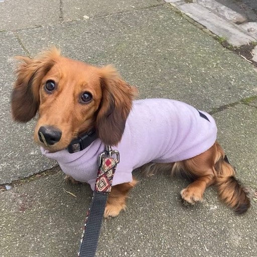 Dachshund Fleece Jumper