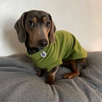 Dachshund Fleece Jumper