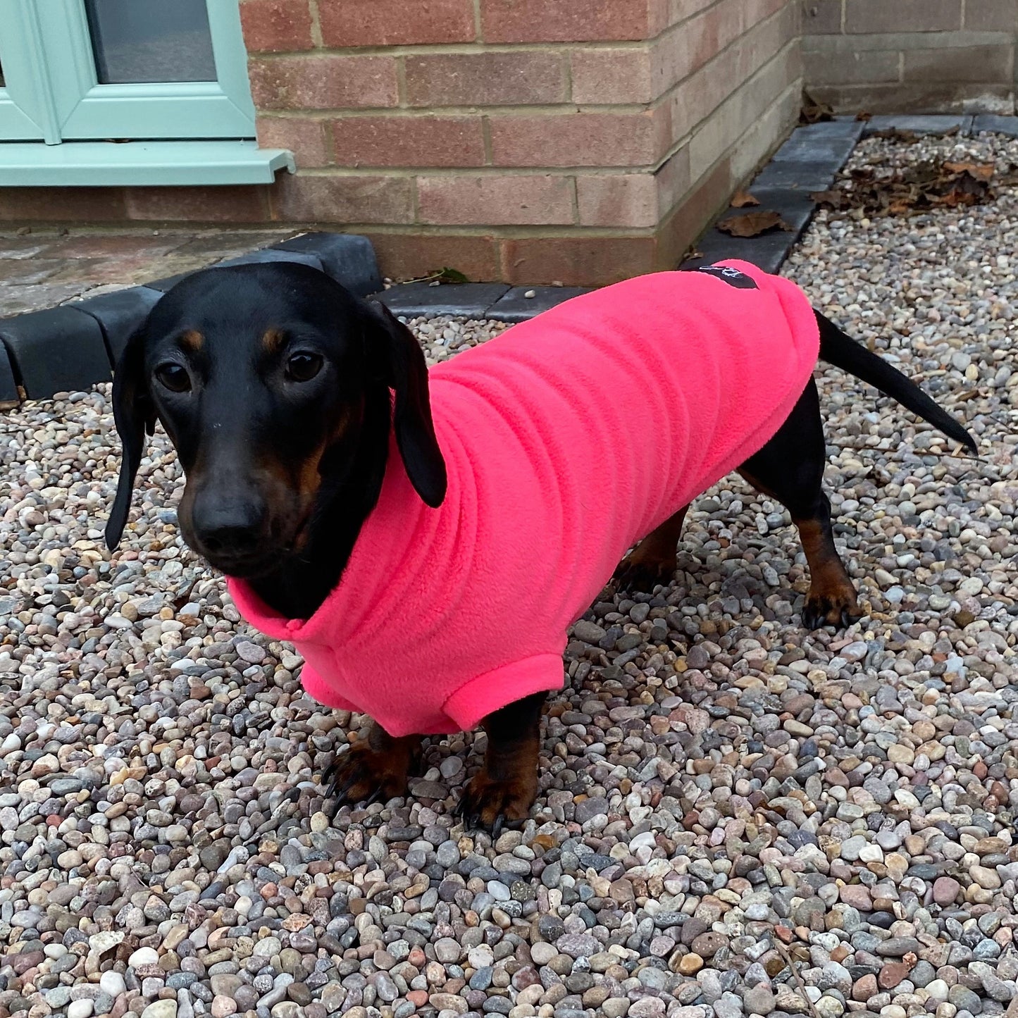 Dachshund Fleece Jumper