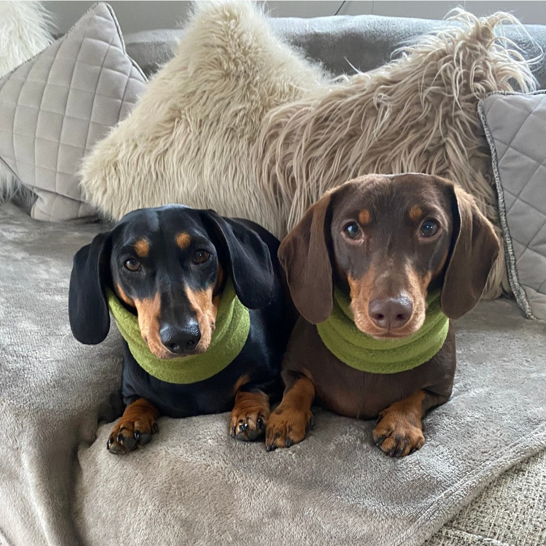 Dachshund Snood Neck Warmer