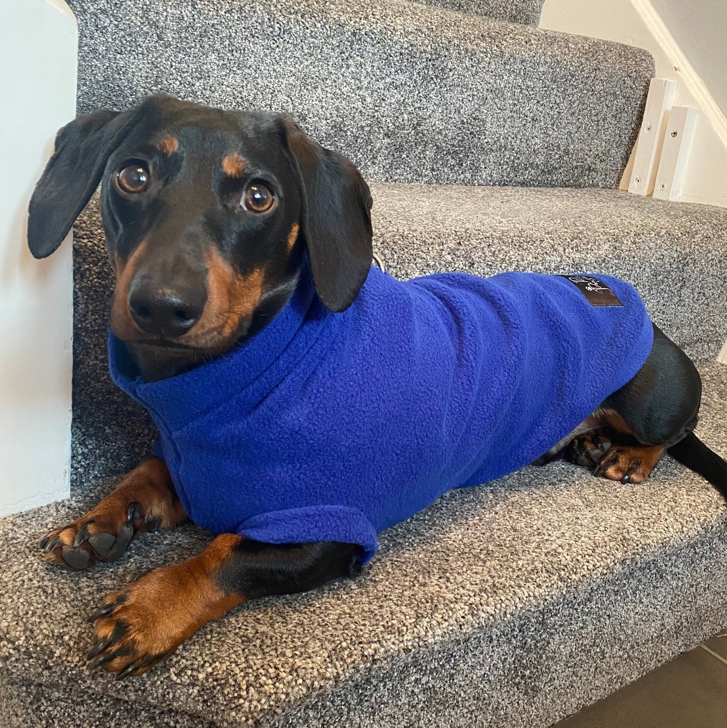 Dachshund Fleece Jumper