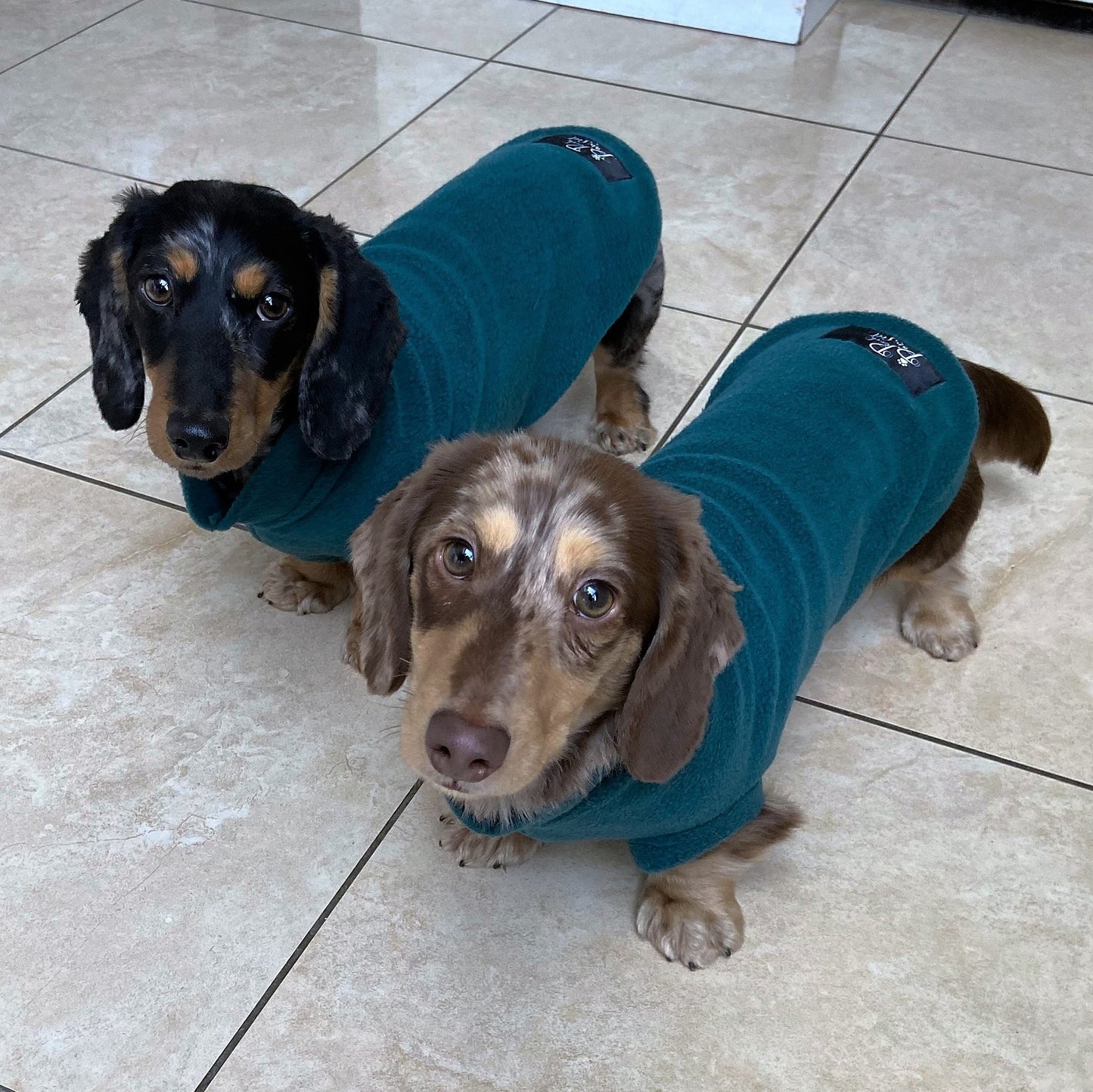 Dachshund Fleece Jumper